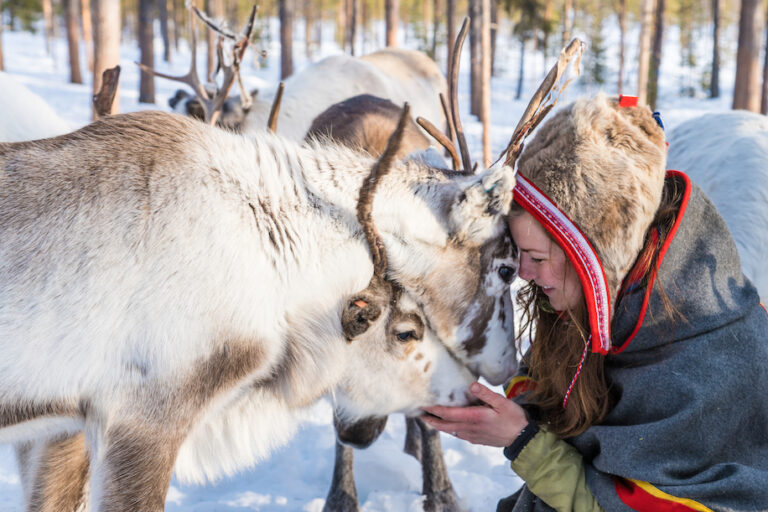 Sami Culture & Reindeers