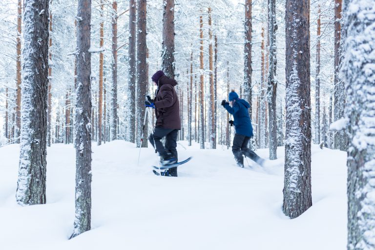 Snowshoeing in the Deep Forest